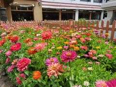 -思金拉措庄园藏餐(太阳岛店)