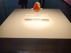 -北京大葆台遗址博物馆