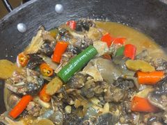 -后湖小院·乡野田园菜