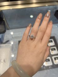 -Zbird钻石小鸟·钻戒婚戒定制高端珠宝私人定制中心