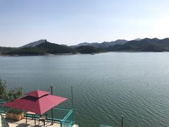 -望湖烤鱼