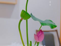 -和木The Home·私厨(鼓楼店)