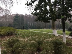 留影po-解放公园