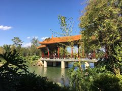 -洛龙公园