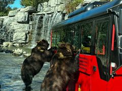 -北京野生动物园