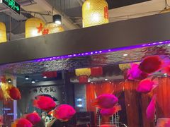 -朱光玉火锅馆(正弘城店)