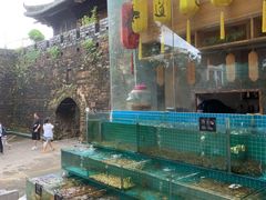 水产区-八道本地特色菜馆(大鹏古城店)