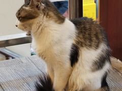 -聪辉同安老美食饭店(大元路店)