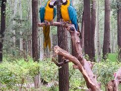 -北京野生动物园