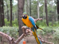 -北京野生动物园