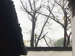 -乌镇东栅景区