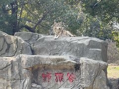 -常州淹城野生动物世界