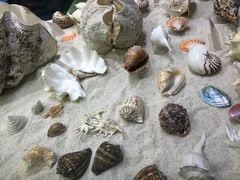 -福州罗源湾海洋世界旅游区