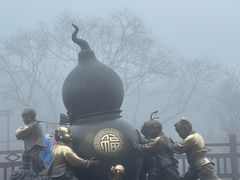 景点-普陀山风景区-佛顶山