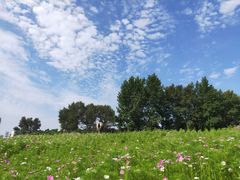 -长春世界雕塑园冰雪艺术天地