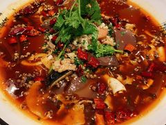 -蝶园·装修中(BFC外滩金融中心店)