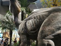 -湖南省地质博物馆