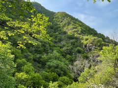 -阳台山自然风景区
