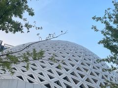 -金沙湖公园