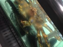 -盒马渔市餐厅