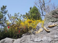 -大伊山景区