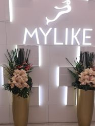 -深圳美莱医疗美容医院