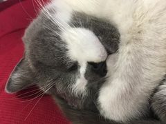 -MIKAKU(万达广场上海宝山店)