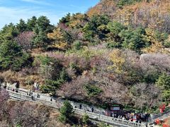 -泰山风景名胜区