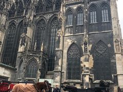 -斯蒂芬主教座堂(Stephansdom)