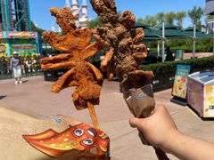 -沈阳方特欢乐世界