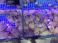-渔民船说·北塘海鲜·天津菜·海肠捞饭(北塘古镇店)