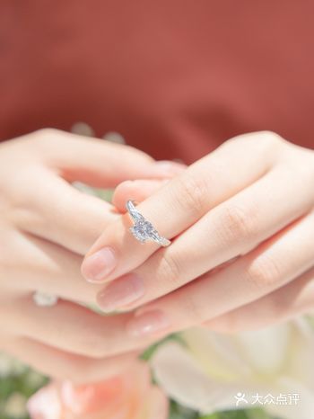 花更少的钱买更大的钻，它不香吗？