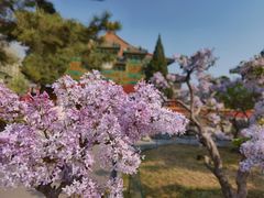 -北海公园