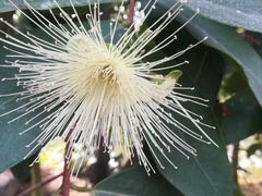 -南通洲际绿博园