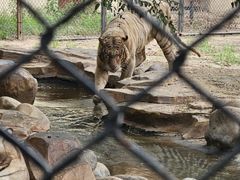 -北京野生动物园