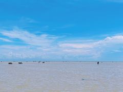 -红树林天天赶海