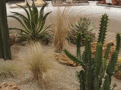 -OUR Bakery(SKP-S店)