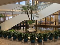 -广州白天鹅宾馆