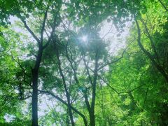 -陕西省红河谷森林公园