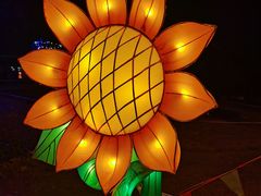 -武汉园博园(武汉自然博物馆)