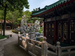 -广东圆玄道观