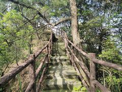 -缙云山景区