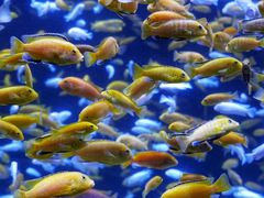 -成都浩海立方海洋公园