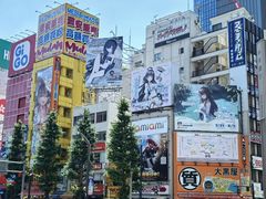 -秋叶原电器街