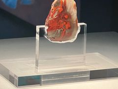 -北京大葆台遗址博物馆