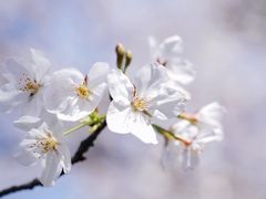 -新天地活力PARK