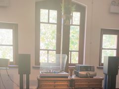 -树懒黑胶唱片店(中山路店)