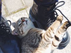 -苏州河梦清园环保主题公园