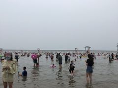 -碧海金沙