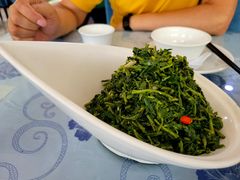 养生枸杞苗-老毛手抓·盐池滩羊手抓(宁夏总店)